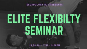 Elite Flexibility Seminar Banner.001