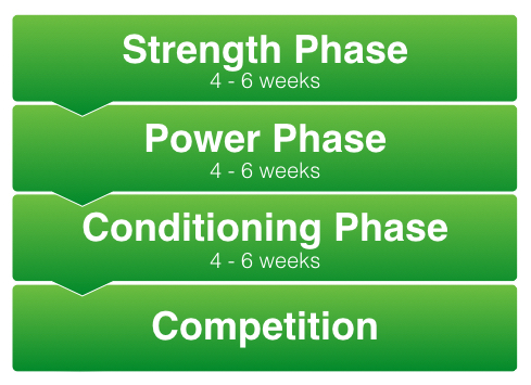 Phases Of Strength And Conditioning Programme